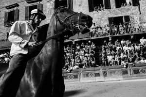 palio di siena agosto 2024
